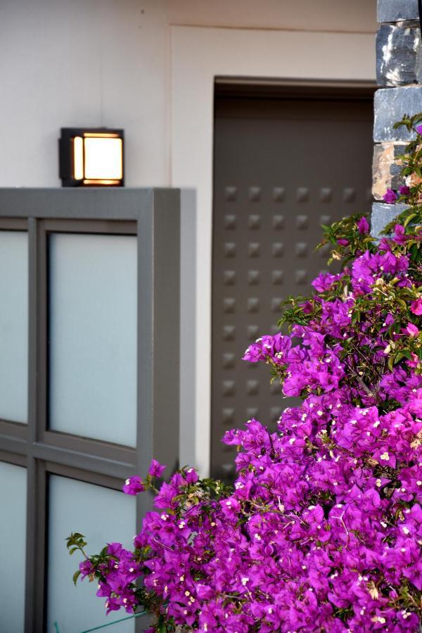 Ελιάδες - Eliades Apartments Karystos  Dış mekan fotoğraf
